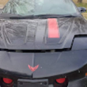 Meet your Posher, Adam